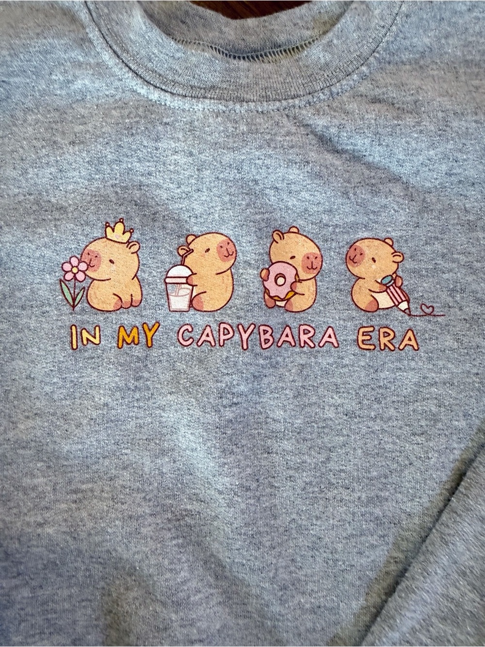 Capybara Sweatshirt - Picture 2 of 3